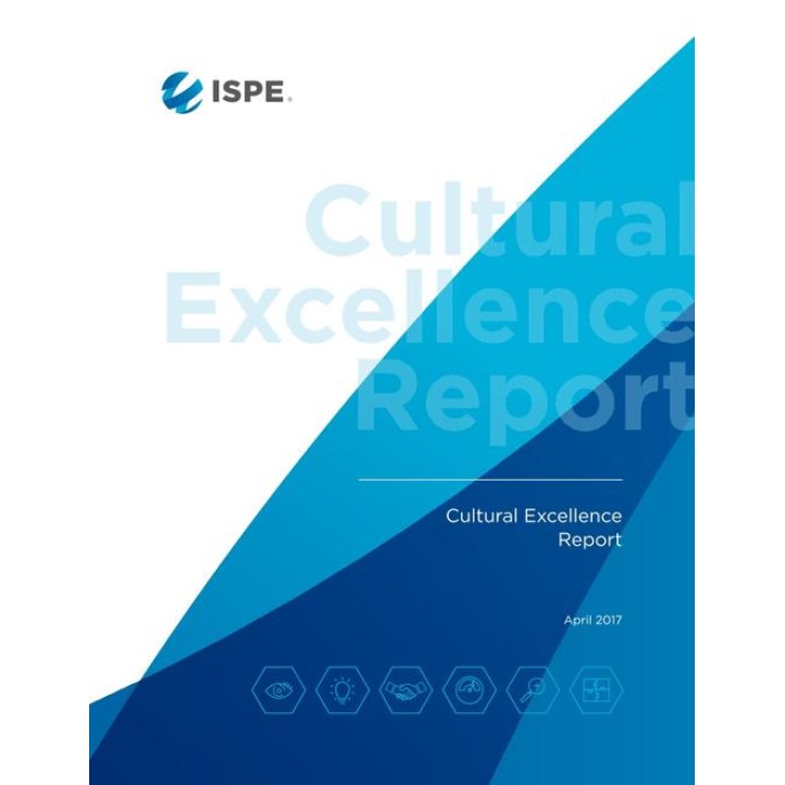 Cultural Excellence Report